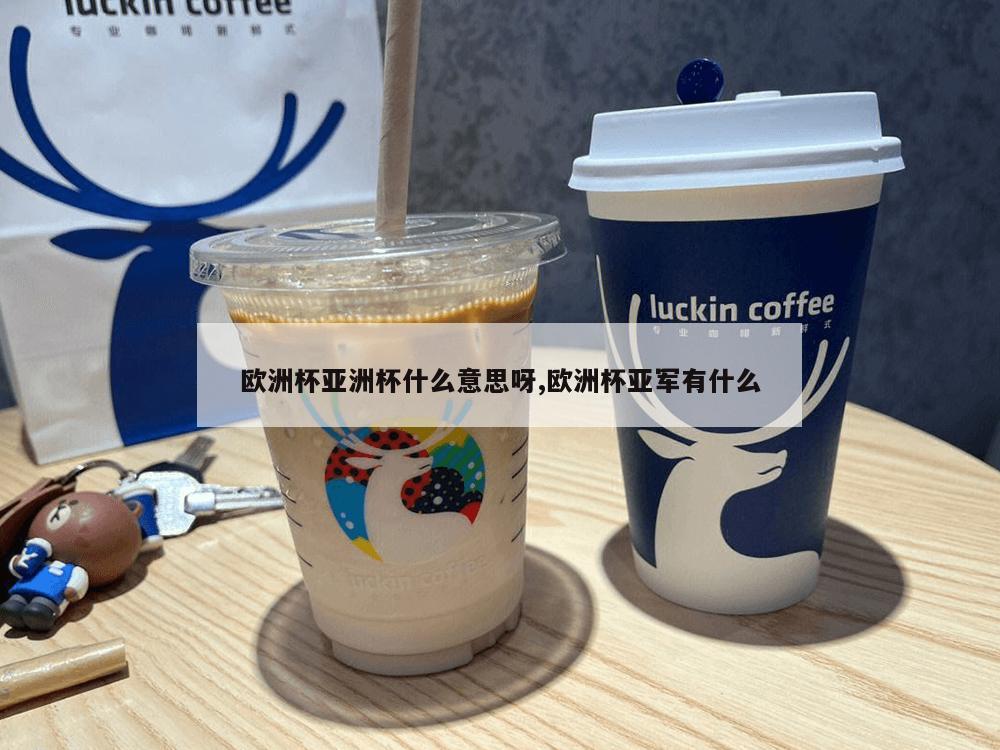 欧洲杯亚洲杯什么意思呀,欧洲杯亚军有什么