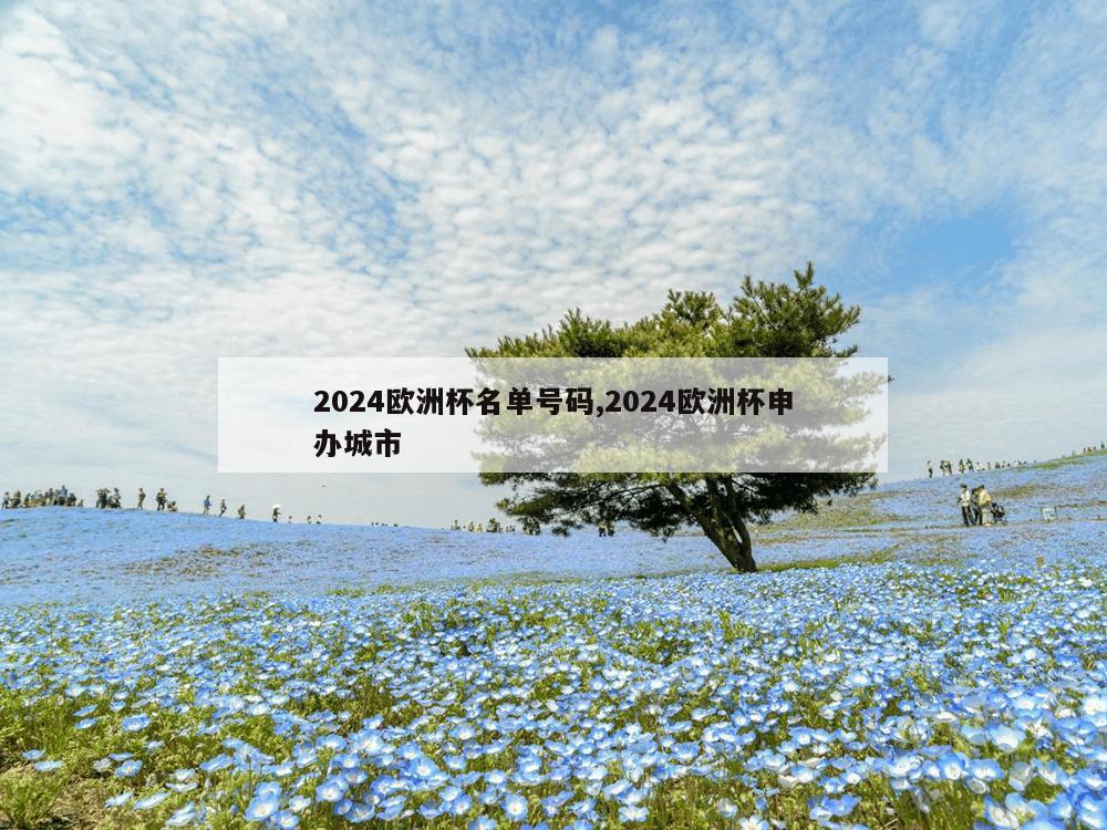 2024欧洲杯名单号码,2024欧洲杯申办城市