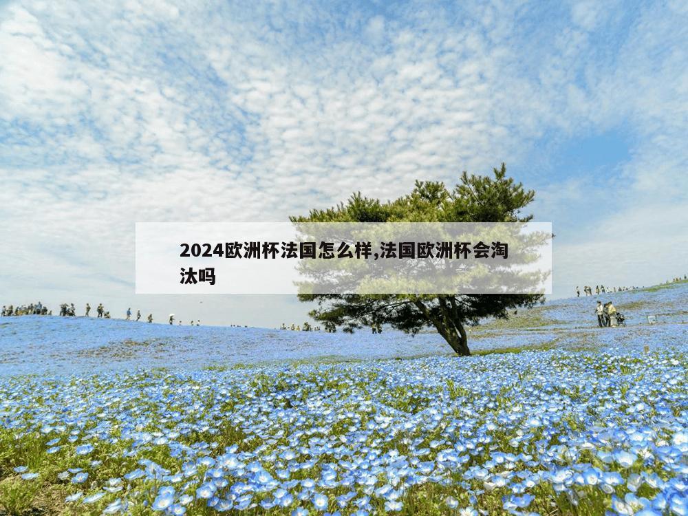 2024欧洲杯法国怎么样,法国欧洲杯会淘汰吗