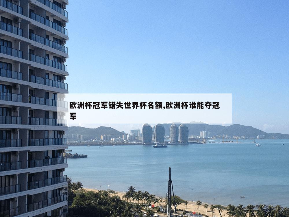 欧洲杯冠军错失世界杯名额,欧洲杯谁能夺冠军