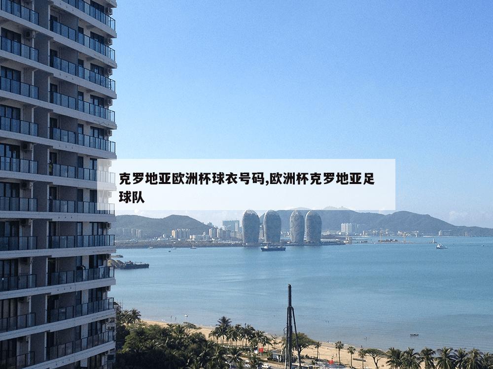 克罗地亚欧洲杯球衣号码,欧洲杯克罗地亚足球队