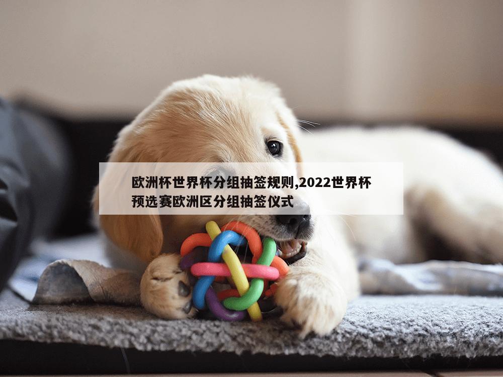 欧洲杯世界杯分组抽签规则,2022世界杯预选赛欧洲区分组抽签仪式