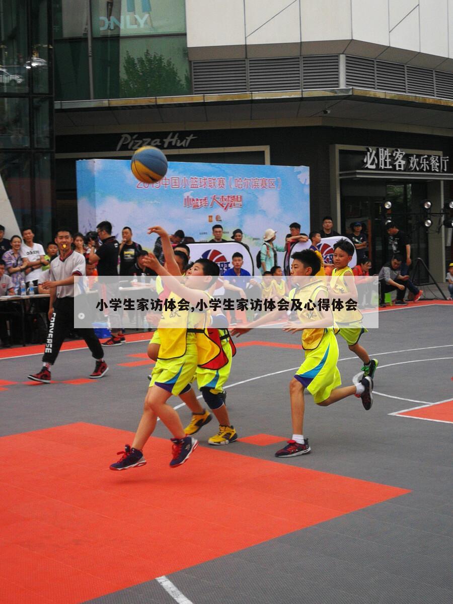 小学生家访体会,小学生家访体会及心得体会