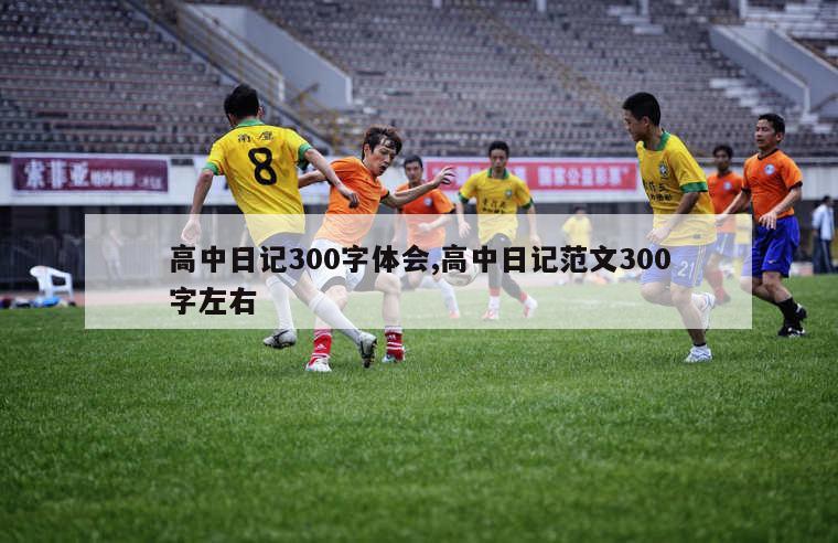 高中日记300字体会,高中日记范文300字左右