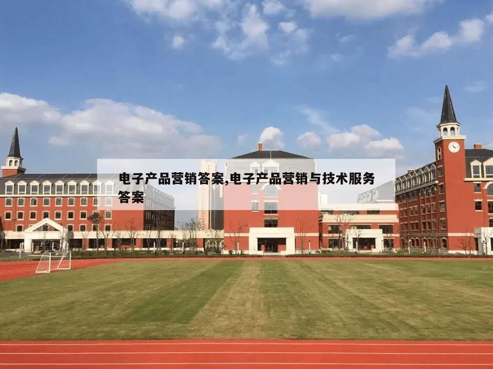 电子产品营销答案,电子产品营销与技术服务答案