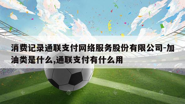 消费记录通联支付网络服务股份有限公司-加油类是什么,通联支付有什么用